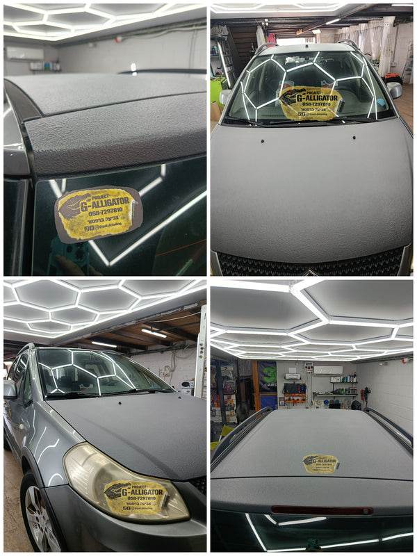 Suzuki swift roof and hood raptor